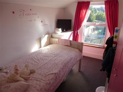 Picture 16